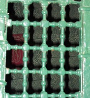 Green Grill of Rawda Rasool salLahoalaiwasallam